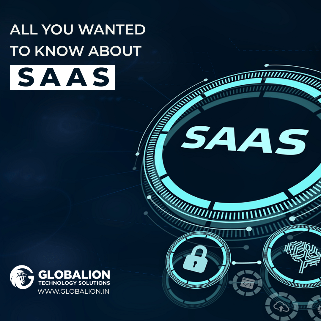 All You Wanted to Know About SaaS