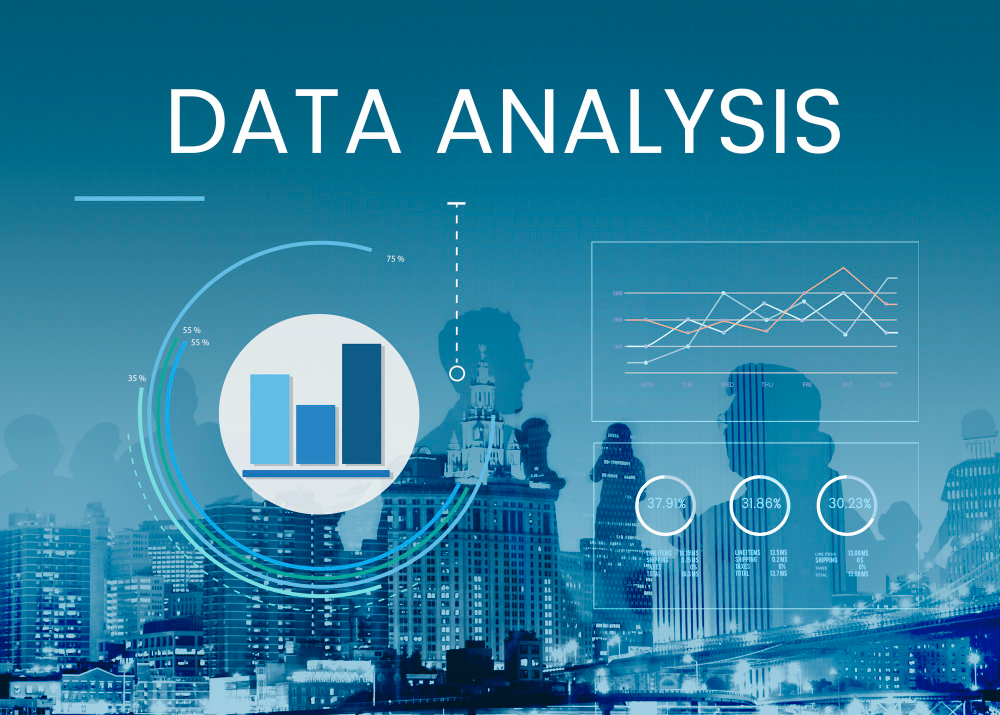 business data analysis